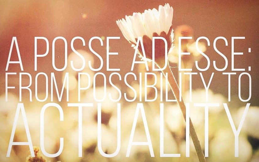 17218289_10158485231265037_6758624073934404198_o